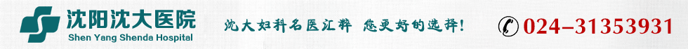 沈阳沈大人流价格